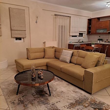 Elena House Διαμέρισμα Ιωάννινα Εξωτερικό φωτογραφία