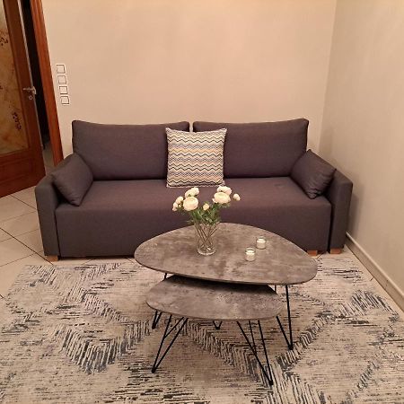 Elena House Διαμέρισμα Ιωάννινα Εξωτερικό φωτογραφία