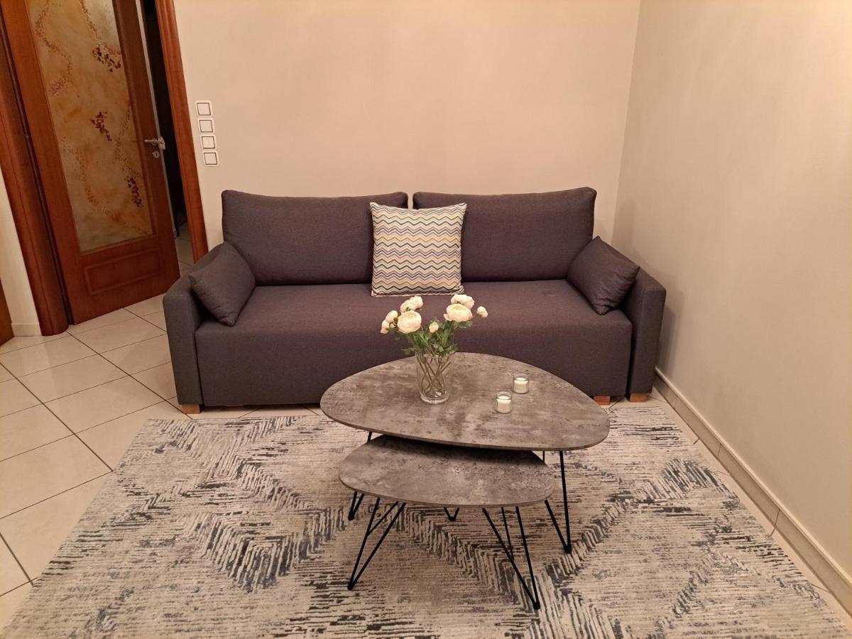 Elena House Διαμέρισμα Ιωάννινα Εξωτερικό φωτογραφία