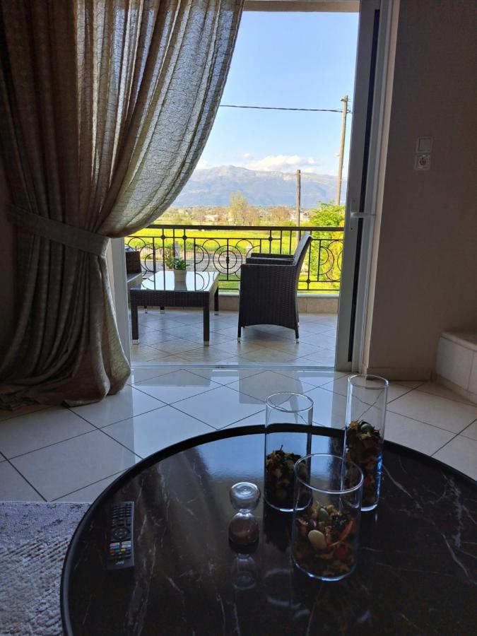 Elena House Διαμέρισμα Ιωάννινα Εξωτερικό φωτογραφία